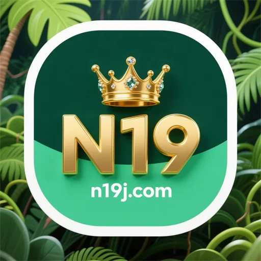 n19.com